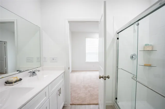 a bathroom with a sink and a toilet