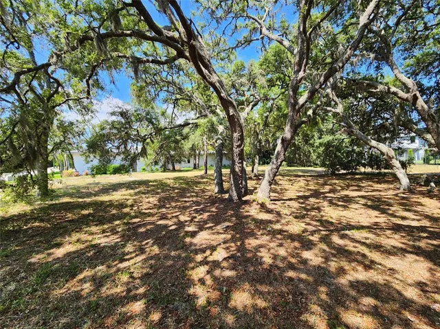 a view of outdoor space with trees