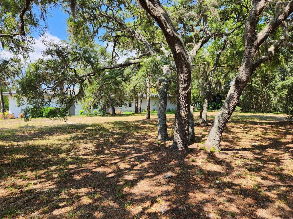 1144 Bellamare Trail Trinity, FL 34655 - Photo 12 of 32 a view of outdoor space with trees