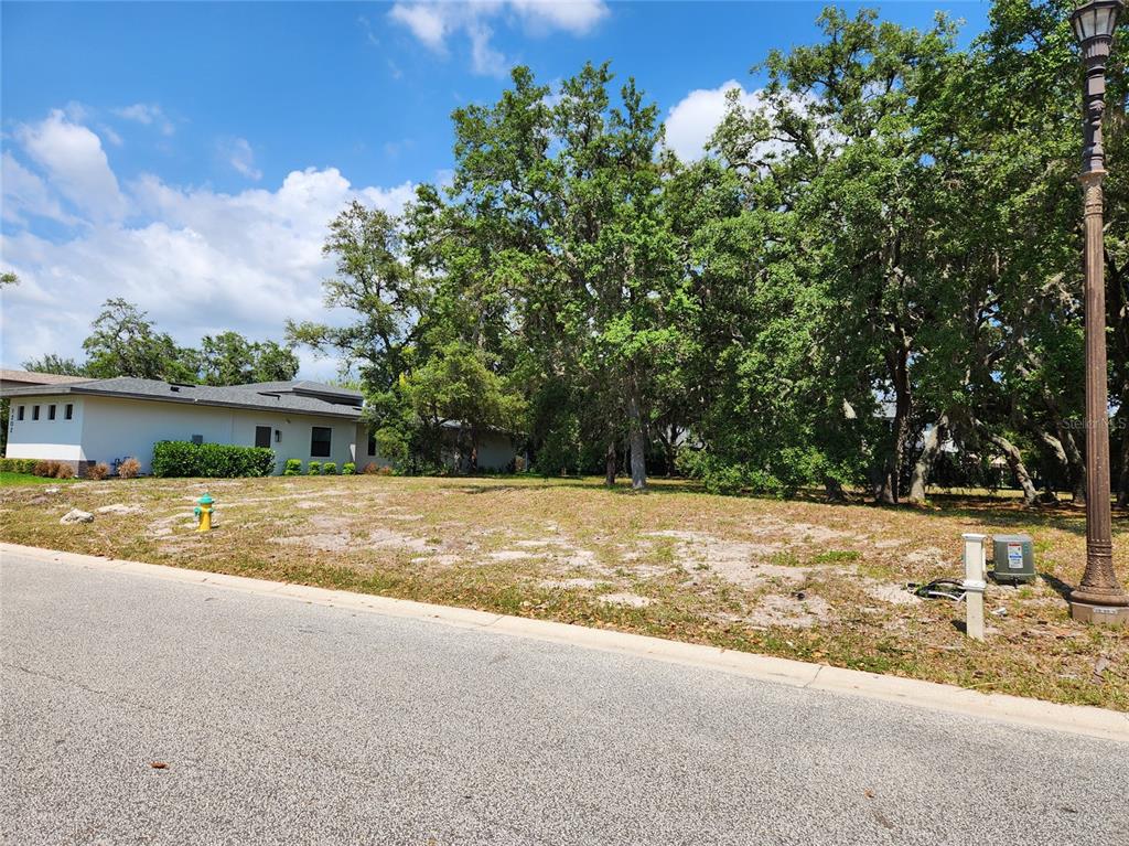 1144 Bellamare Trail Trinity, FL 34655 - Photo 14 of 32 a view of a house with a yard