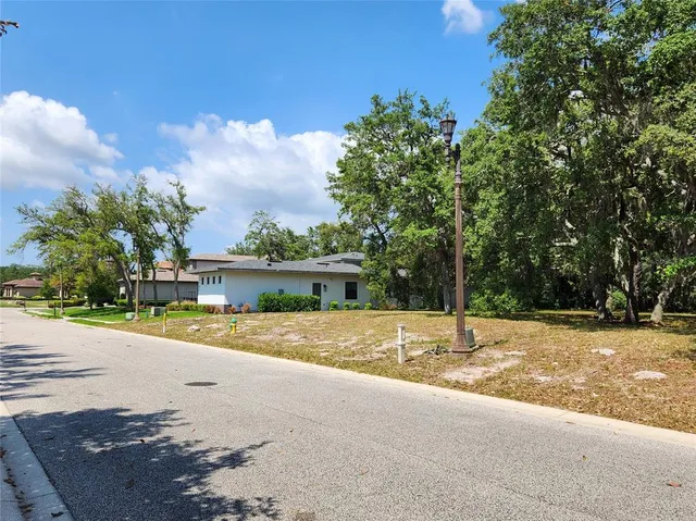 a view of a garden with a bench