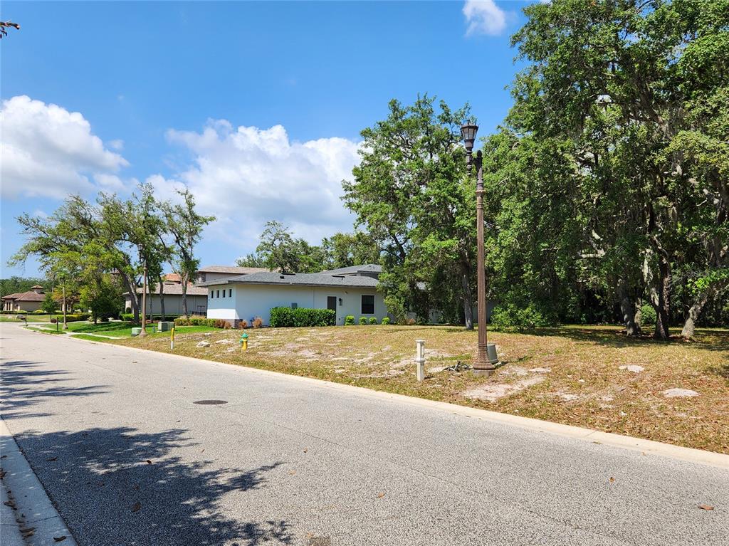 1144 Bellamare Trail Trinity, FL 34655 - Photo 16 of 32 a view of a house with a yard and large trees