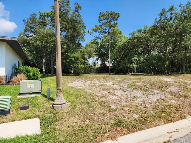 a view of yard with patio