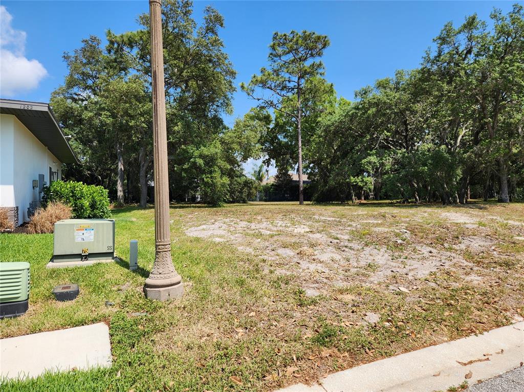 1144 Bellamare Trail Trinity, FL 34655 - Photo 17 of 32 a view of a garden with a bench