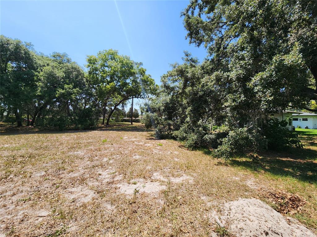 1144 Bellamare Trail Trinity, FL 34655 - Photo 3 of 32 a view of outdoor space and yard