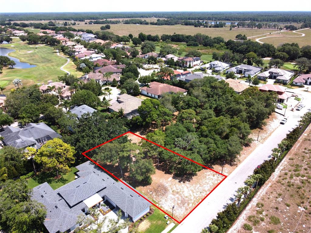 1144 Bellamare Trail Trinity, FL 34655 - Photo 31 of 32 a view of a city