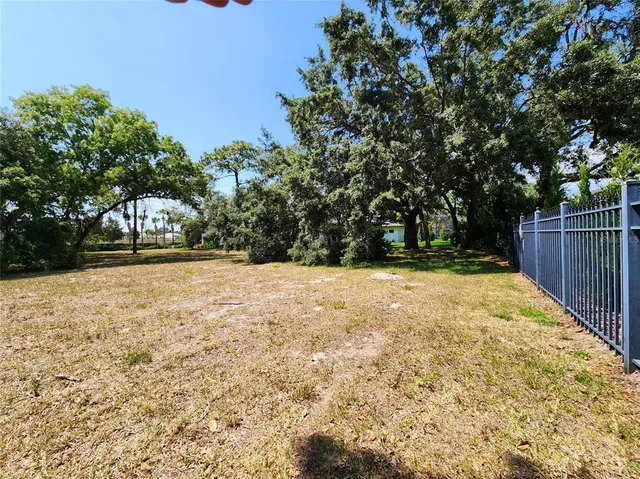 a view of large yard with large trees