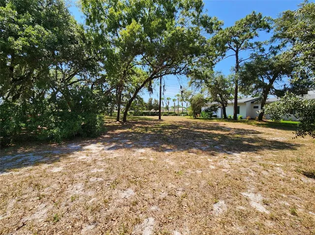 a view of road with large trees