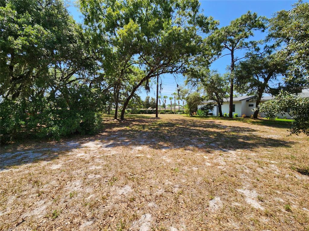1144 Bellamare Trail Trinity, FL 34655 - Photo 5 of 32 a view of road with large trees