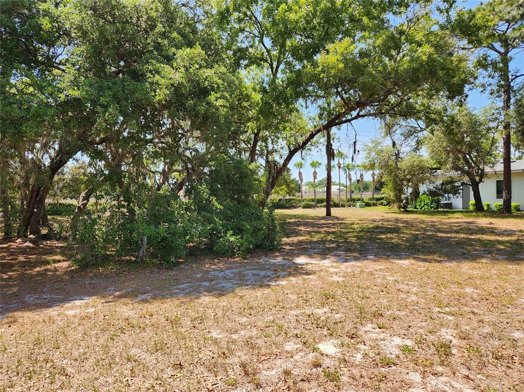 1144 Bellamare Trail Trinity, FL 34655 - Photo 6 of 32 a view of road with tree