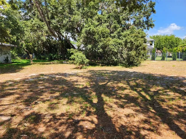 a view of a yard with a tree