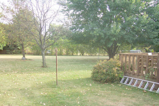 6449 Rendova Court Roscoe, IL 61073 - Photo 6 of 6 a view of a yard with a tree