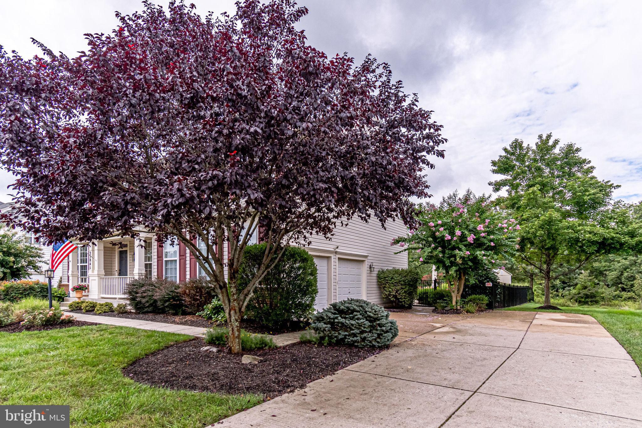 25841 Spring Farm Circle Chantilly, VA 20152 - Photo 8 of 71 Gallery Image 8