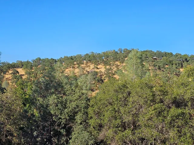 an aerial view of residential house with outdoor space and trees all around
