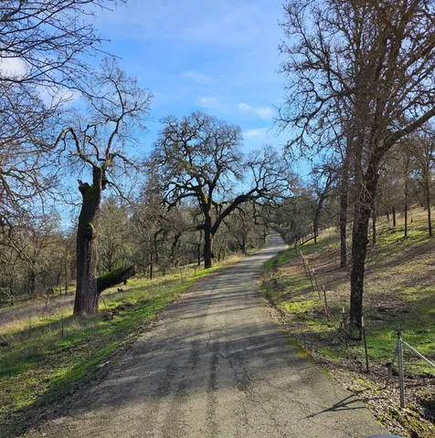 a view of a yard with an trees