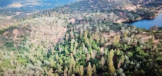 a view of a yard with mountain view