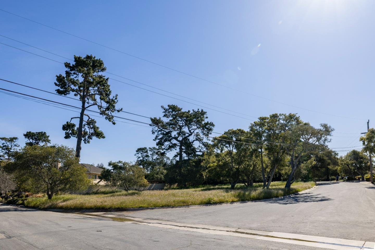 0 Alta Mesa Circle Monterey, CA 93940 - Photo 4 of 7 a view of a yard