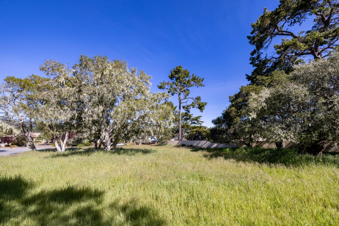 0 Alta Mesa Circle Monterey, CA 93940 - Photo 7 of 7 a view of yard