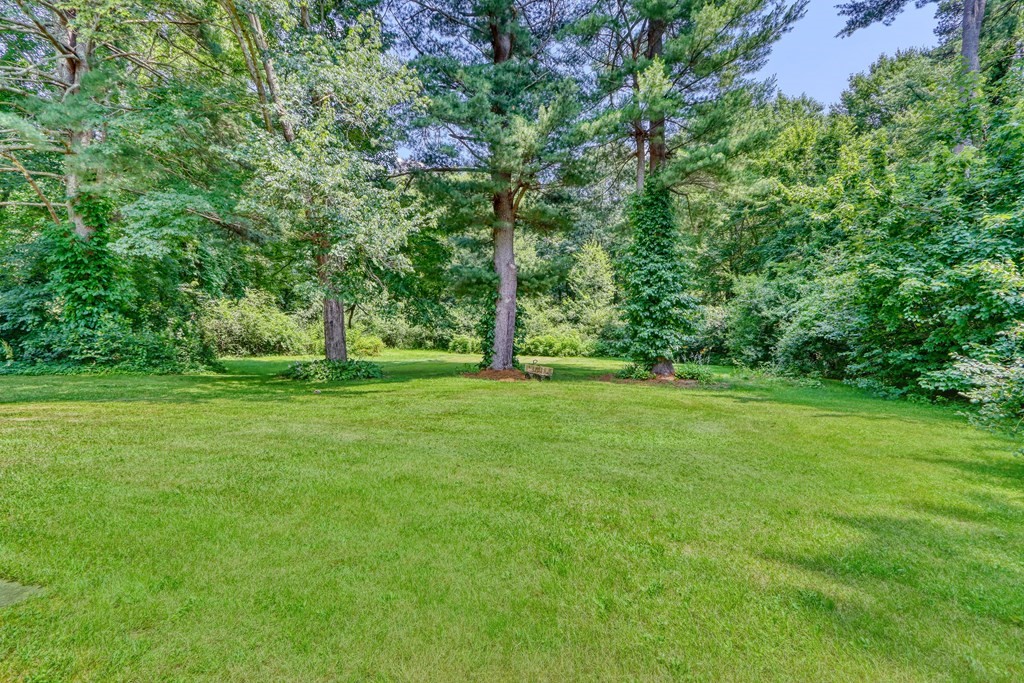105 Tamarack Road Westwood, MA 02090 - Photo 30 of 36 Gallery Image 30