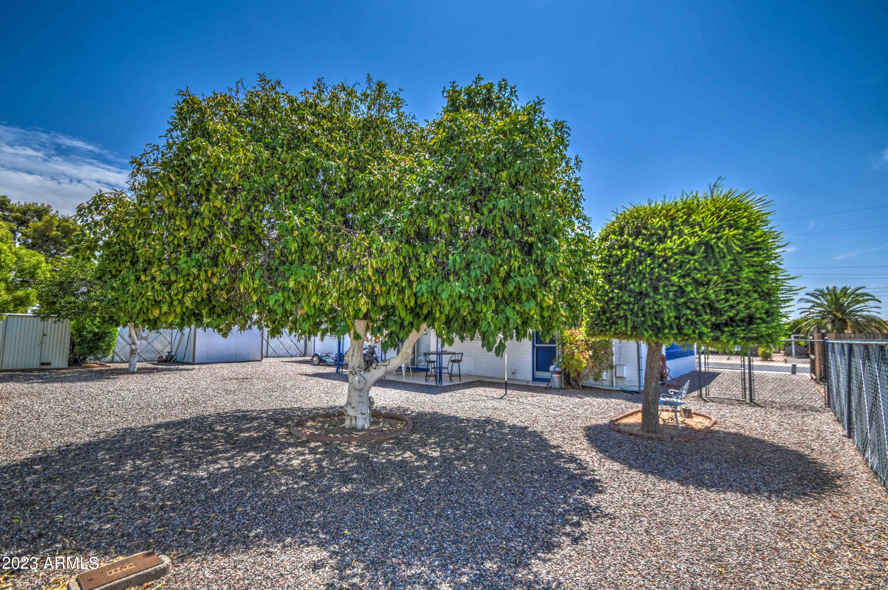 6050 East Decatur Street Mesa, AZ 85205 - Photo 8 of 37 Lage citrus trees