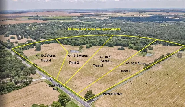 view of a pathway of a yard