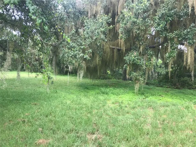 a backyard of a house with lots of green space