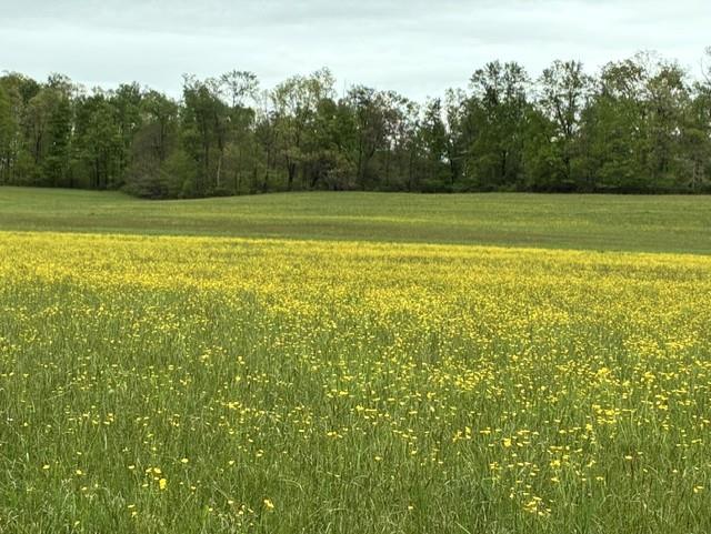 0 Warner Road Kennerdell, PA 16374 - Photo 2 of 13 a view of a field with an outdoor space