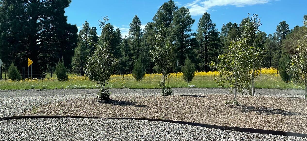 10290 Lundin Road Flagstaff, AZ 86004 - Photo 38 of 43 a view of a park with a tree