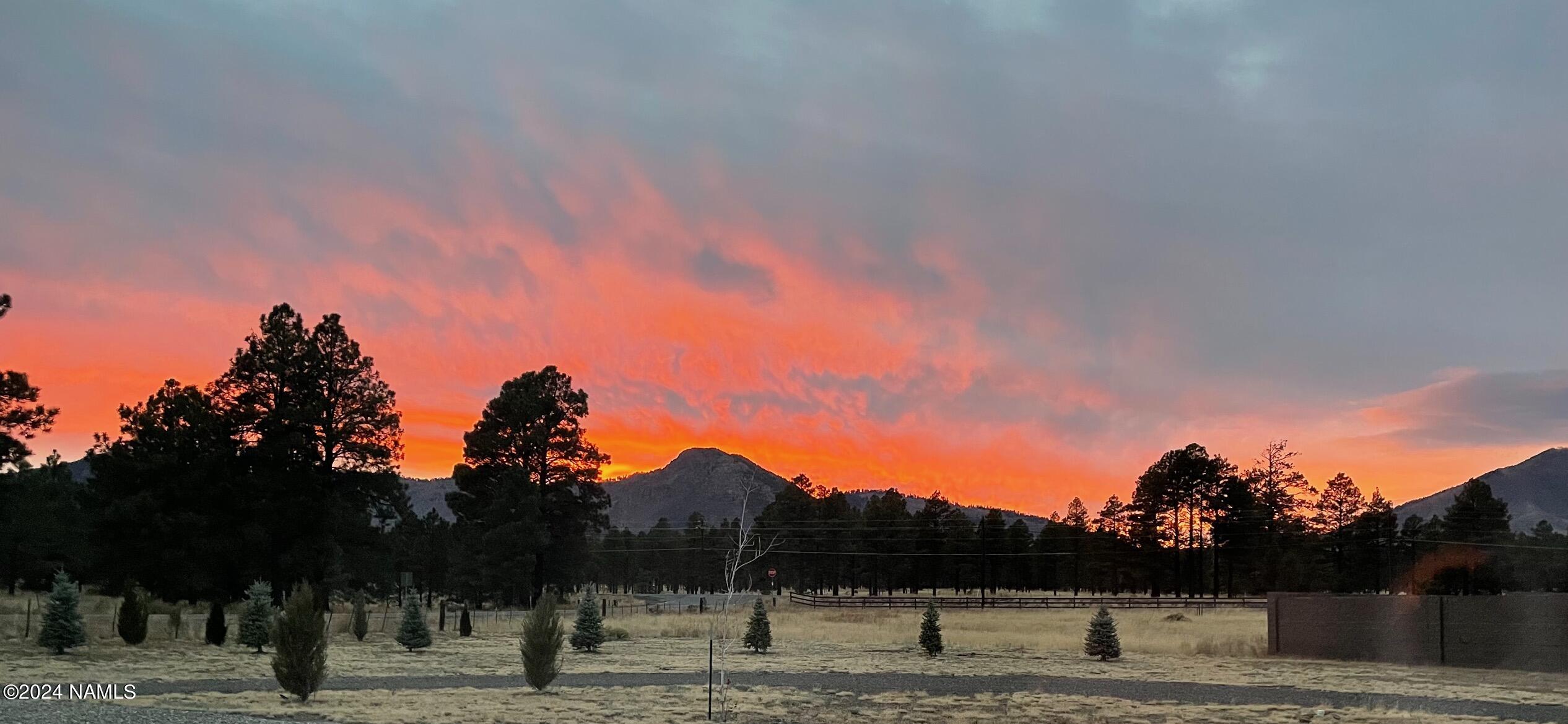 10290 Lundin Road Flagstaff, AZ 86004 - Photo 40 of 43 a view of a yard