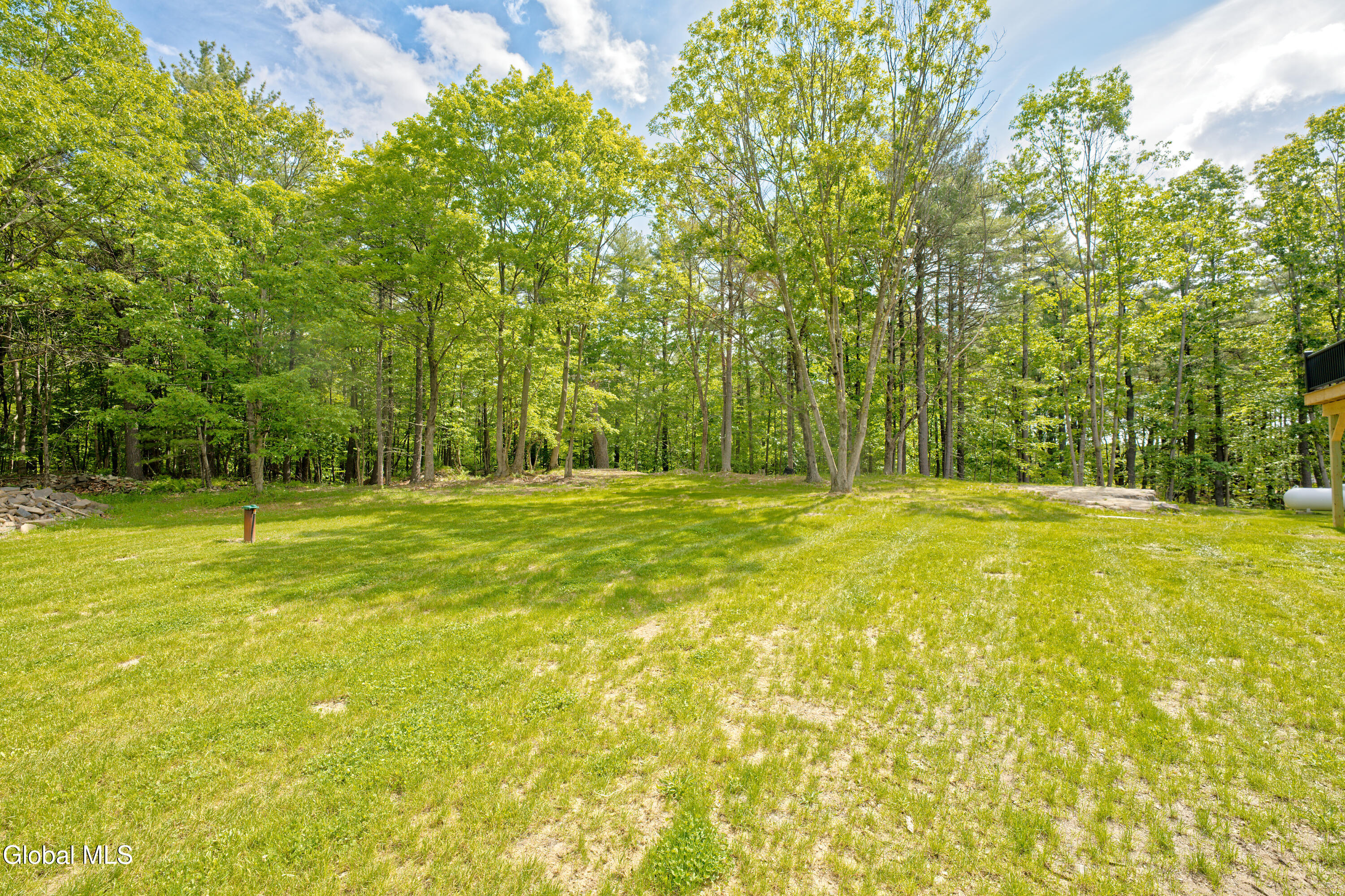 17 Ringwald Road Coeymans, NY 12046 - Photo 41 of 47 Yard 4