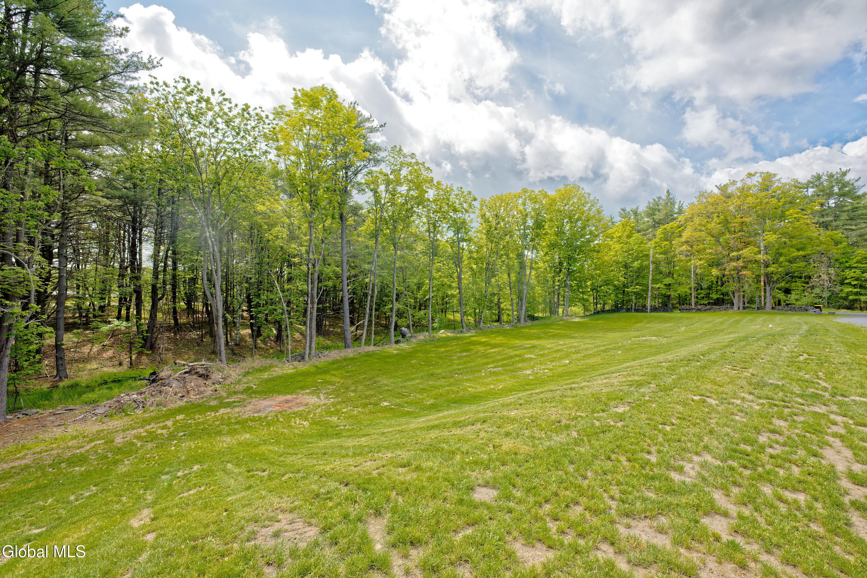 17 Ringwald Road Coeymans, NY 12046 - Photo 47 of 47 Yard 10