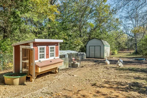 a view of backyard with a large tree and wooden fence