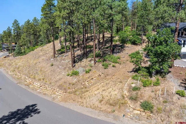a view of a dry yard with wooden fence