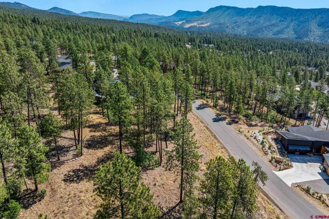 a view of a city and mountains