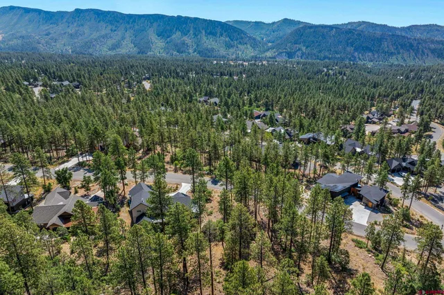 a view of a forest with a street and trees