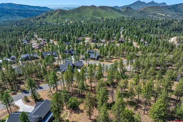 a view of a green field with lots of bushes