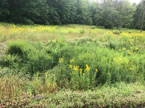 687 Norridgewock Road Fairfield, ME 04937 - Photo 1 of 3 IMG_0292