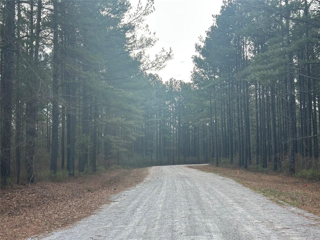 142 Riversong Road Carrollton, GA 30117 - Photo 13 of 67