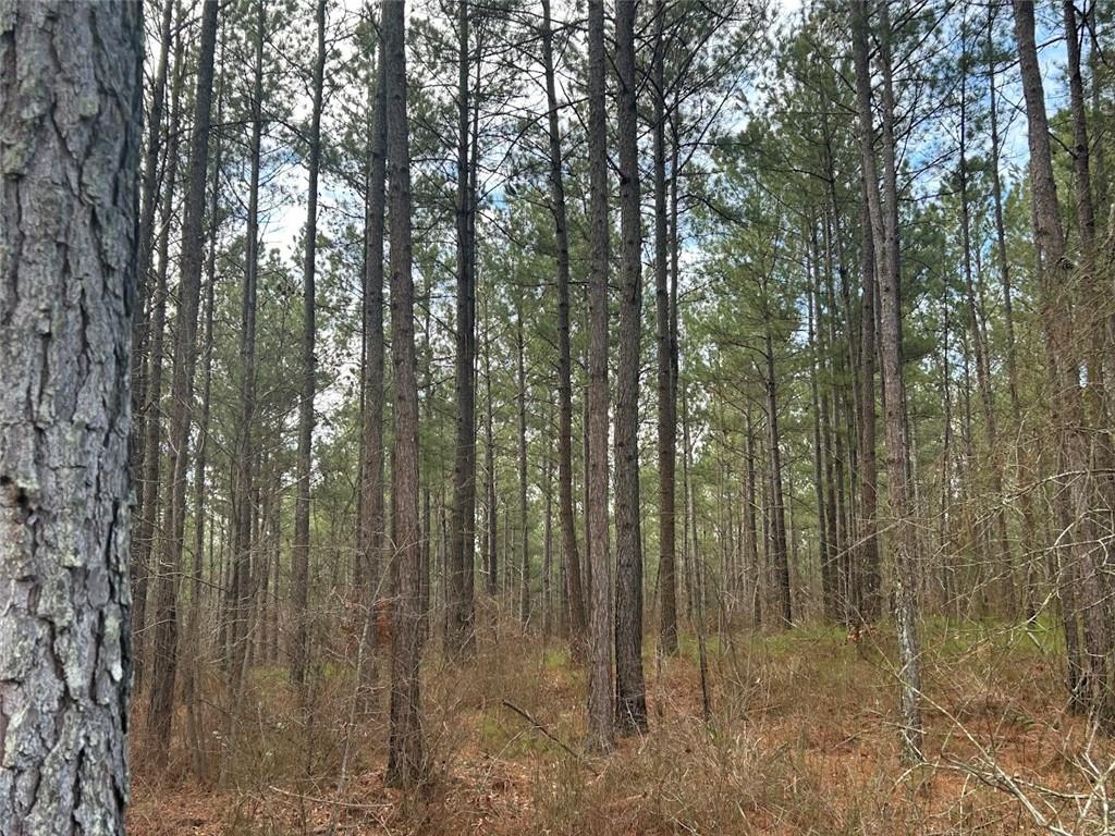 142 Riversong Road Carrollton, GA 30117 - Photo 18 of 67