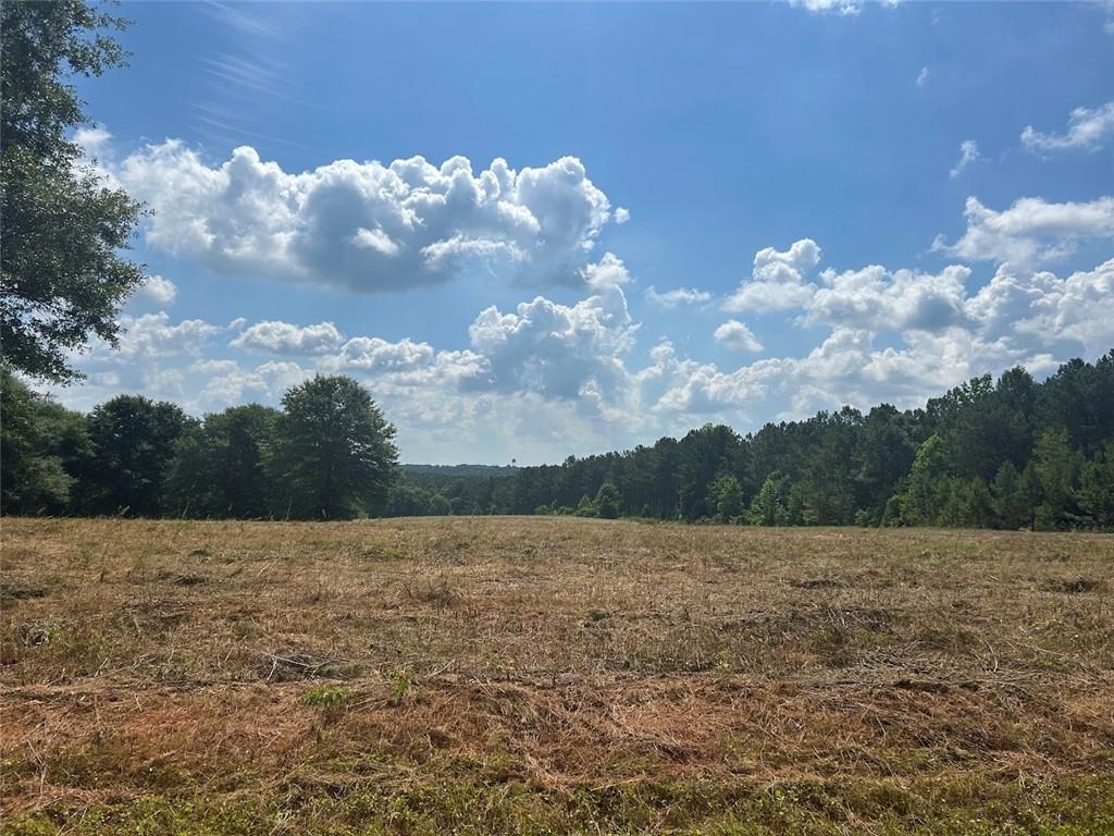 142 Riversong Road Carrollton, GA 30117 - Photo 27 of 67