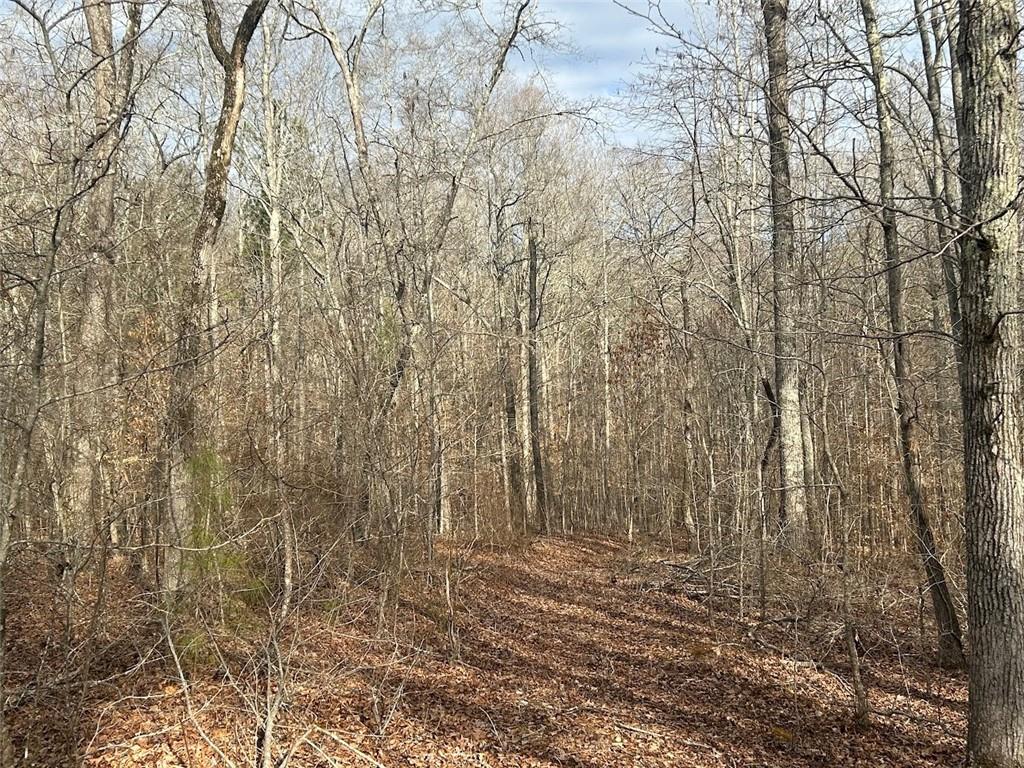 142 Riversong Road Carrollton, GA 30117 - Photo 34 of 67