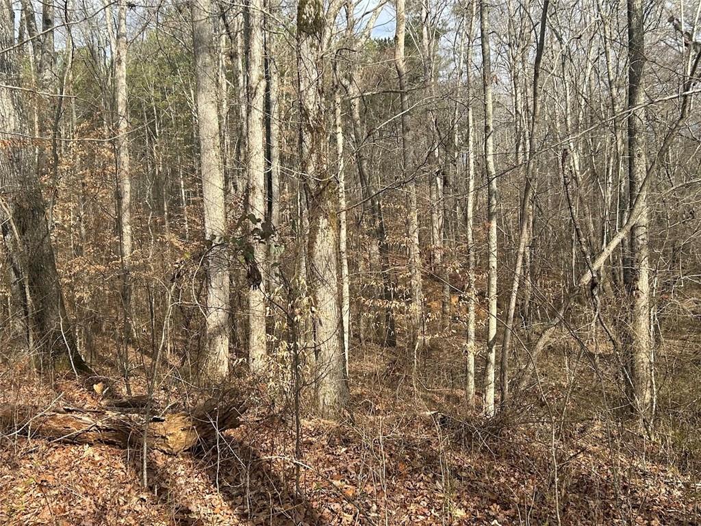 142 Riversong Road Carrollton, GA 30117 - Photo 35 of 67