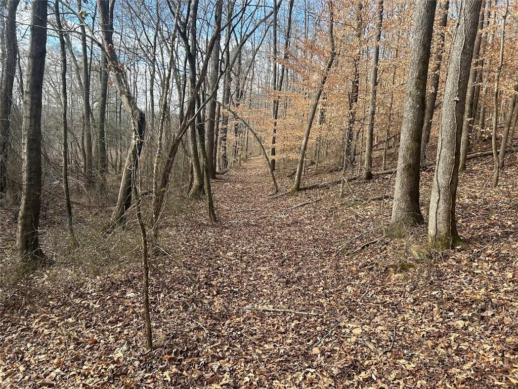 142 Riversong Road Carrollton, GA 30117 - Photo 36 of 67