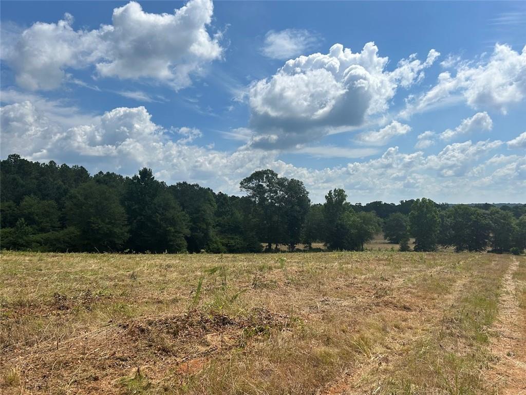 142 Riversong Road Carrollton, GA 30117 - Photo 39 of 67