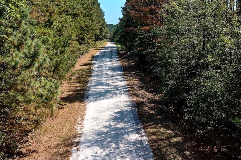 142 Riversong Road Carrollton, GA 30117 - Photo 4 of 67