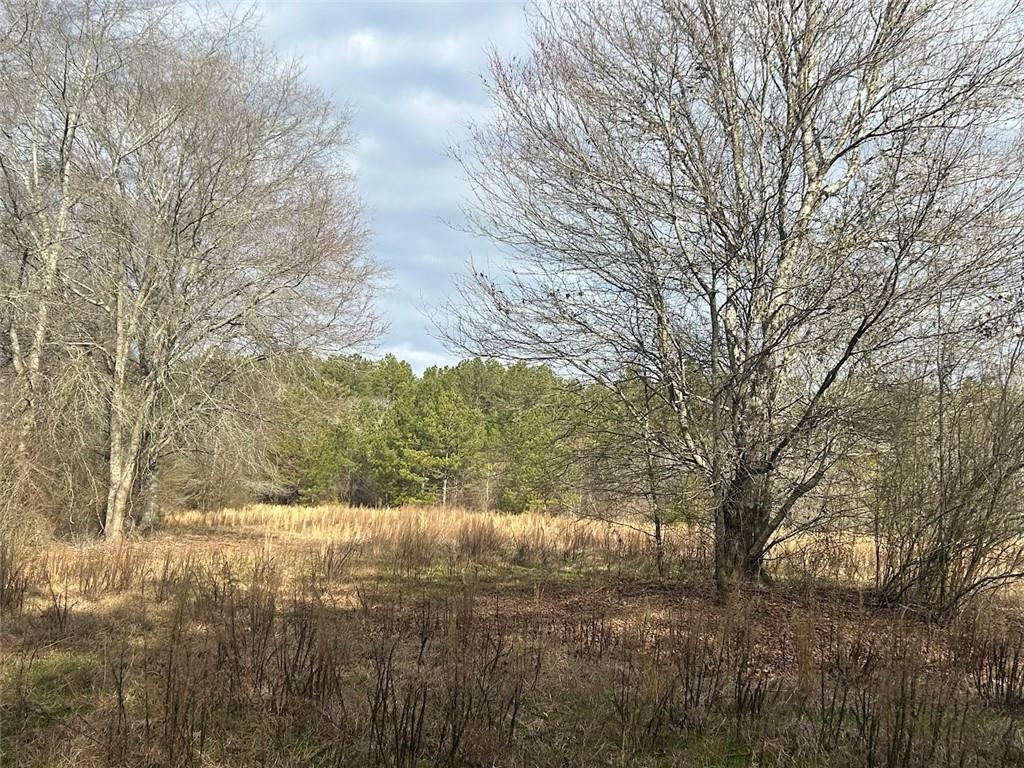 142 Riversong Road Carrollton, GA 30117 - Photo 45 of 67