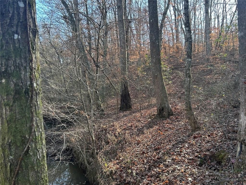 142 Riversong Road Carrollton, GA 30117 - Photo 49 of 67