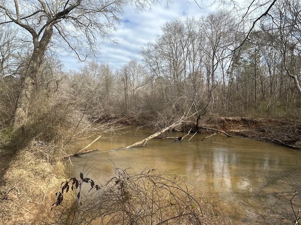 142 Riversong Road Carrollton, GA 30117 - Photo 57 of 67