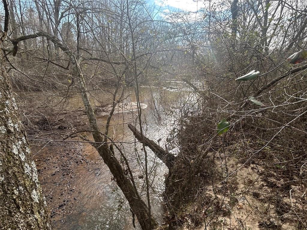 142 Riversong Road Carrollton, GA 30117 - Photo 59 of 67