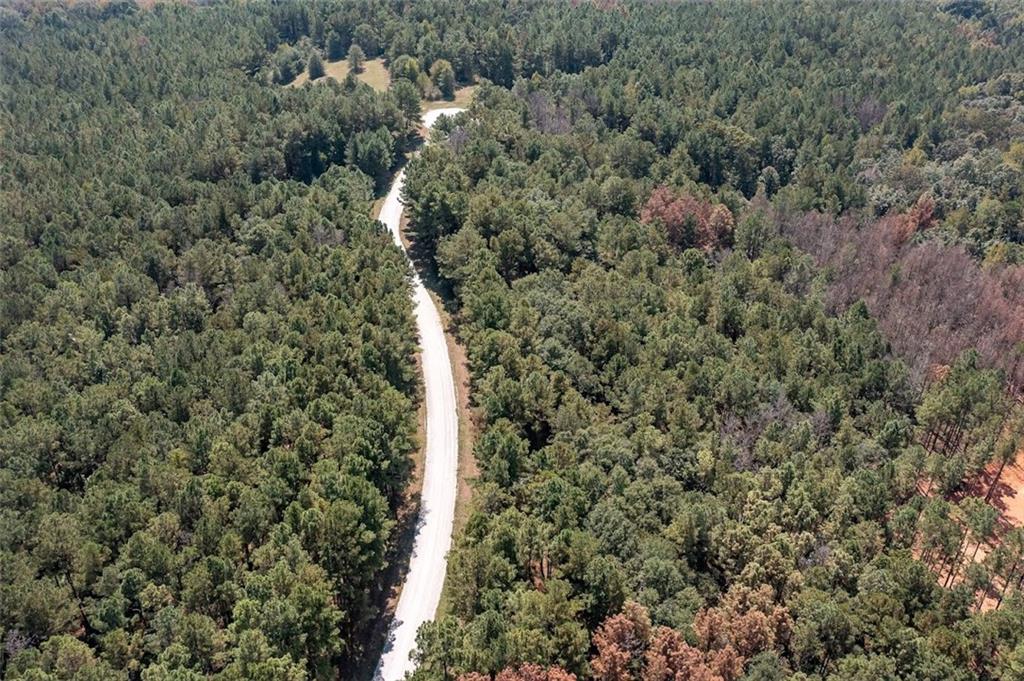 142 Riversong Road Carrollton, GA 30117 - Photo 9 of 67